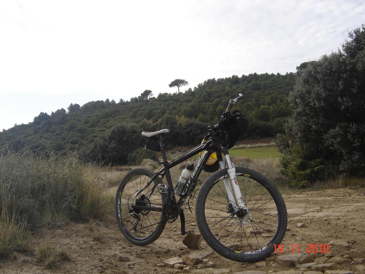 הוילה Carcastillo El Pinar De Bardena מראה חיצוני תמונה