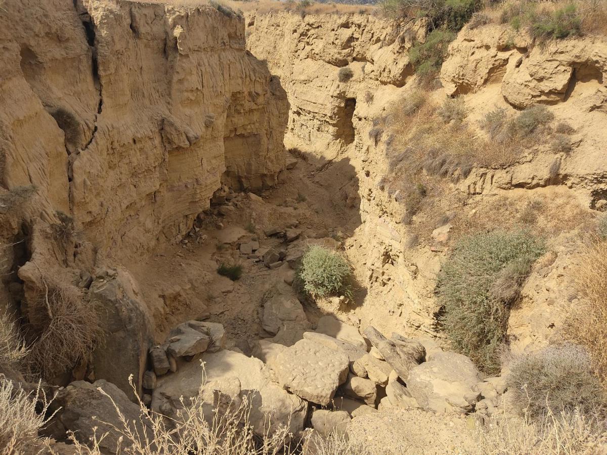 הוילה Carcastillo El Pinar De Bardena מראה חיצוני תמונה