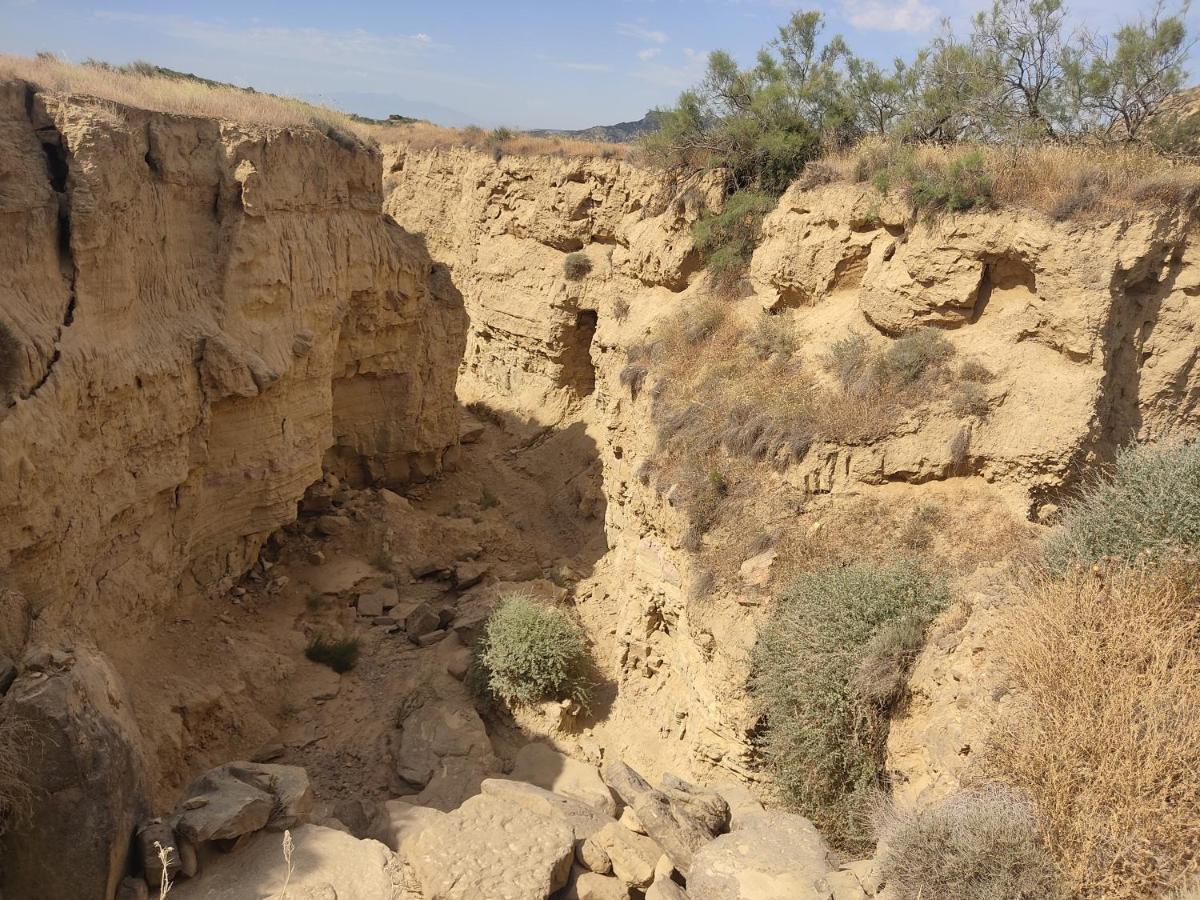 הוילה Carcastillo El Pinar De Bardena מראה חיצוני תמונה