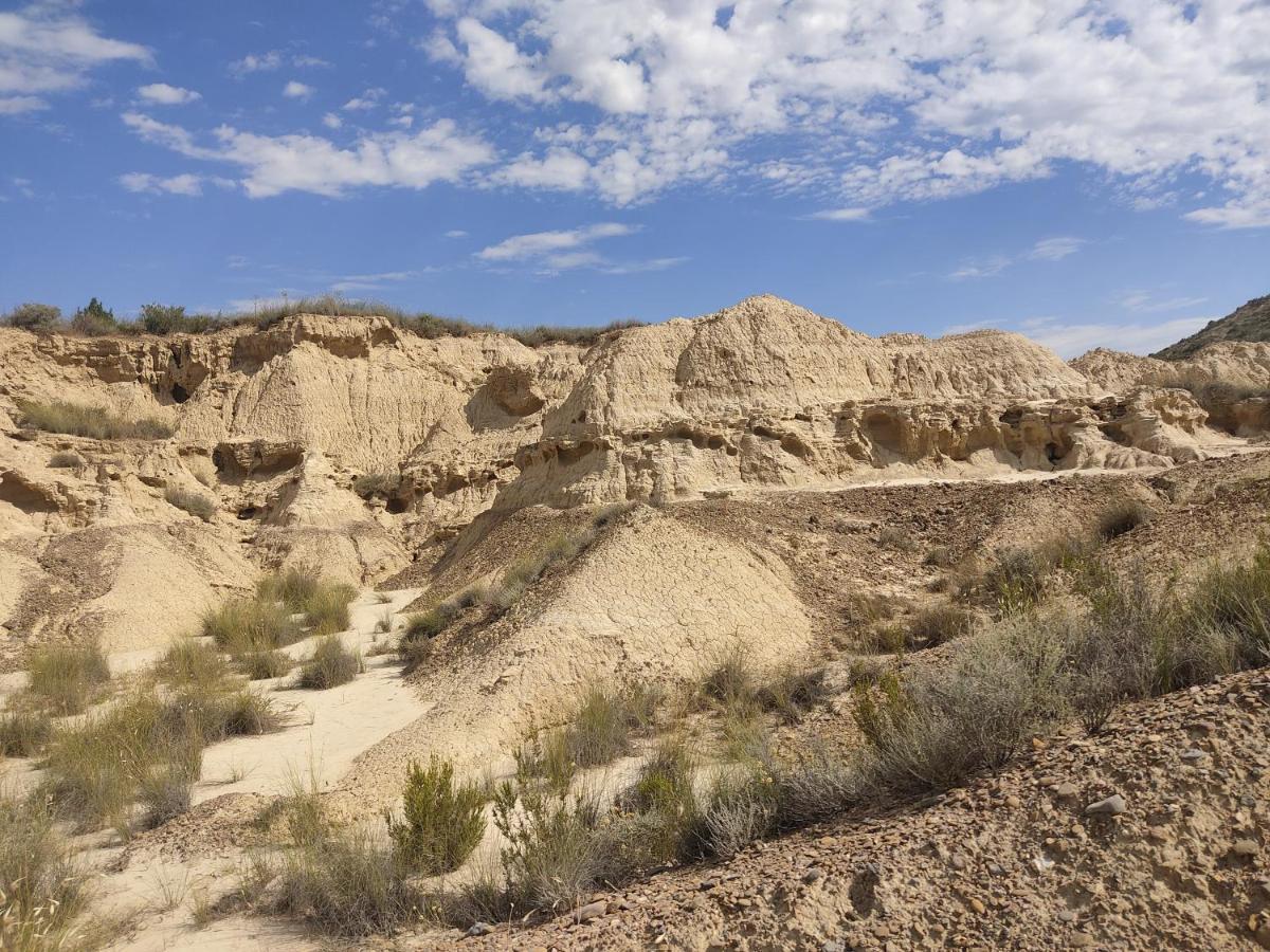 הוילה Carcastillo El Pinar De Bardena מראה חיצוני תמונה