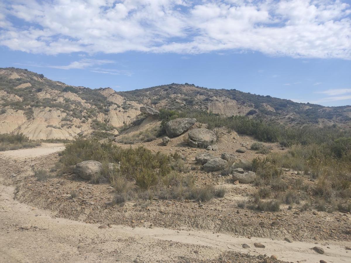 הוילה Carcastillo El Pinar De Bardena מראה חיצוני תמונה