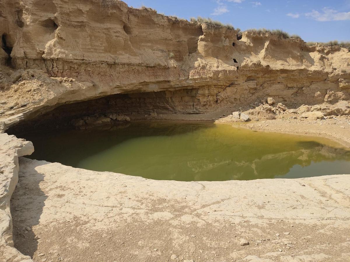 הוילה Carcastillo El Pinar De Bardena מראה חיצוני תמונה