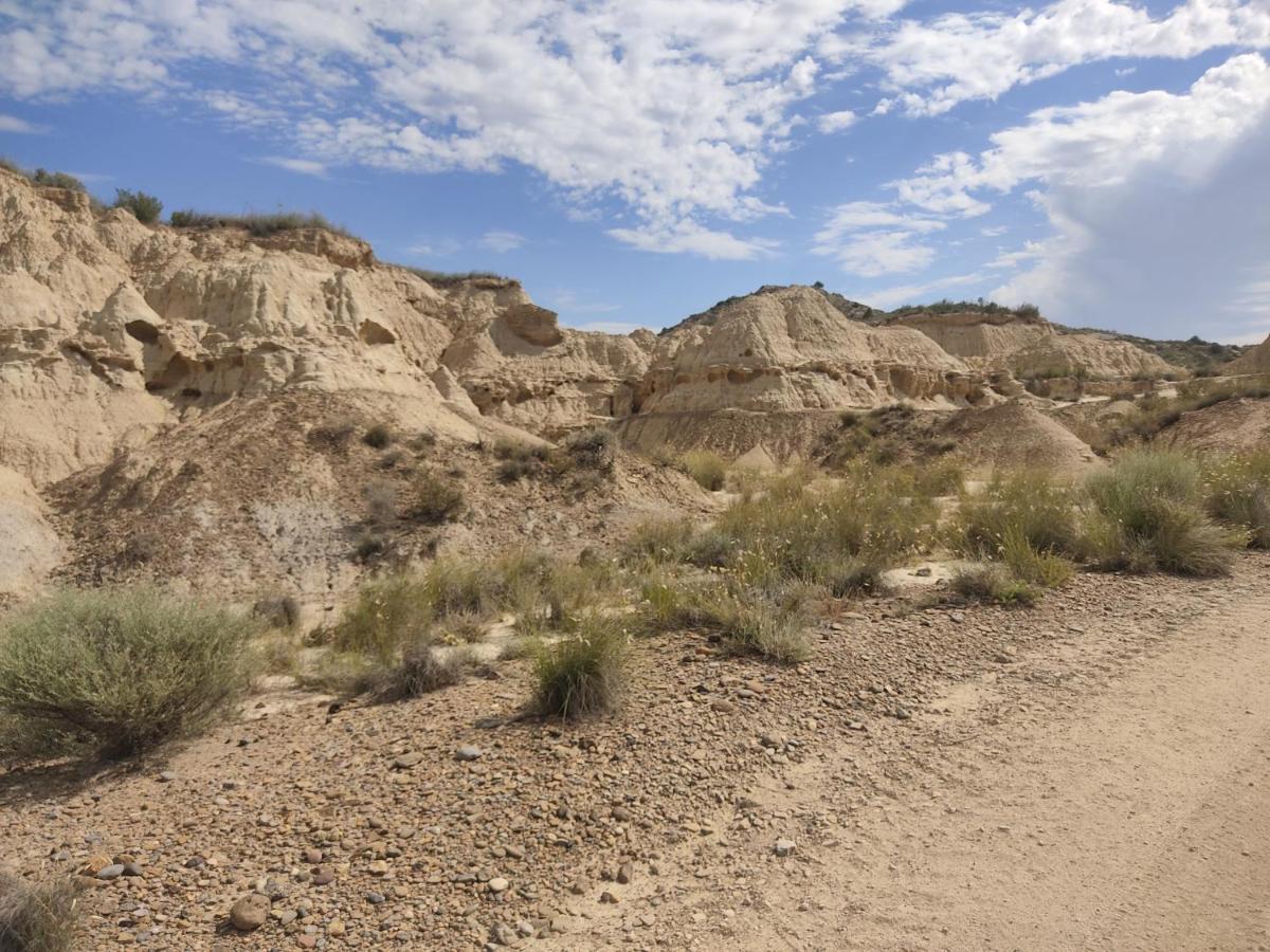 הוילה Carcastillo El Pinar De Bardena מראה חיצוני תמונה