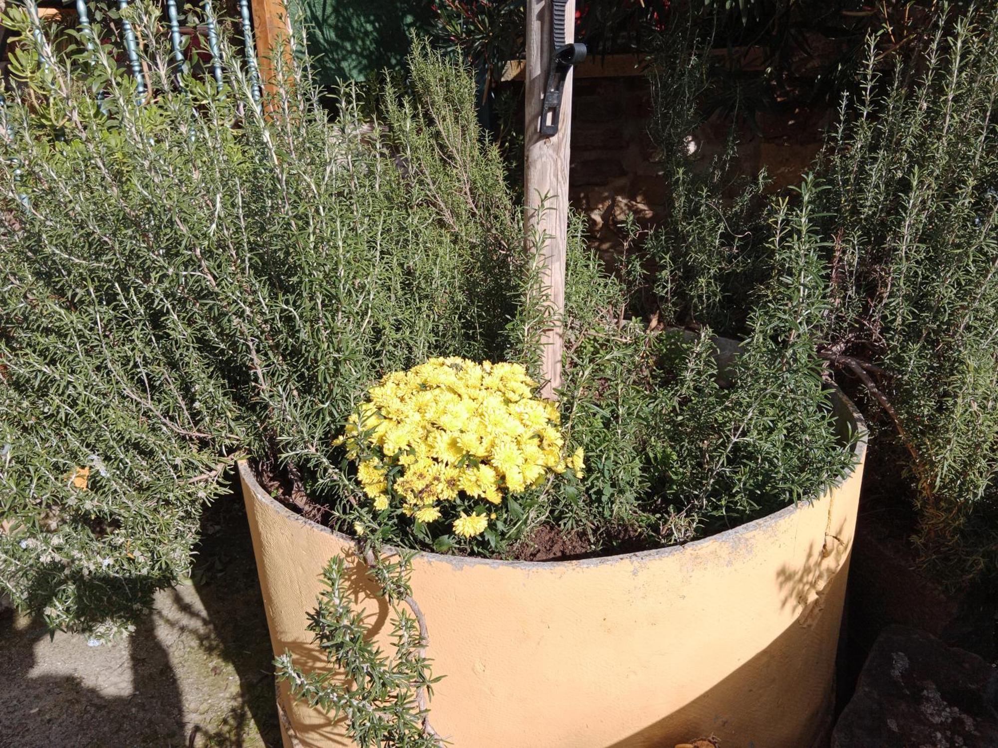הוילה Carcastillo El Pinar De Bardena מראה חיצוני תמונה
